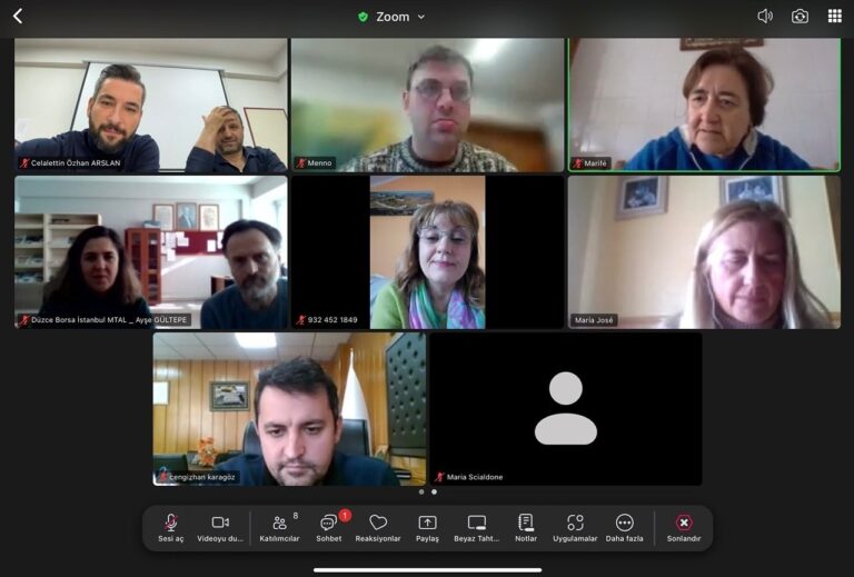Online Coordination Meeting – Project Launch Preparation